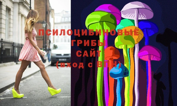 эйфоретик Богданович