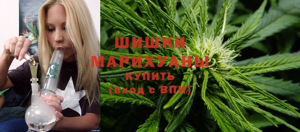 первитин Богородицк