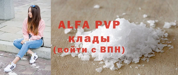 сатива Баксан