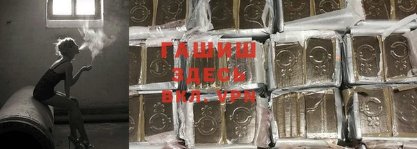 эйфоретик Богданович